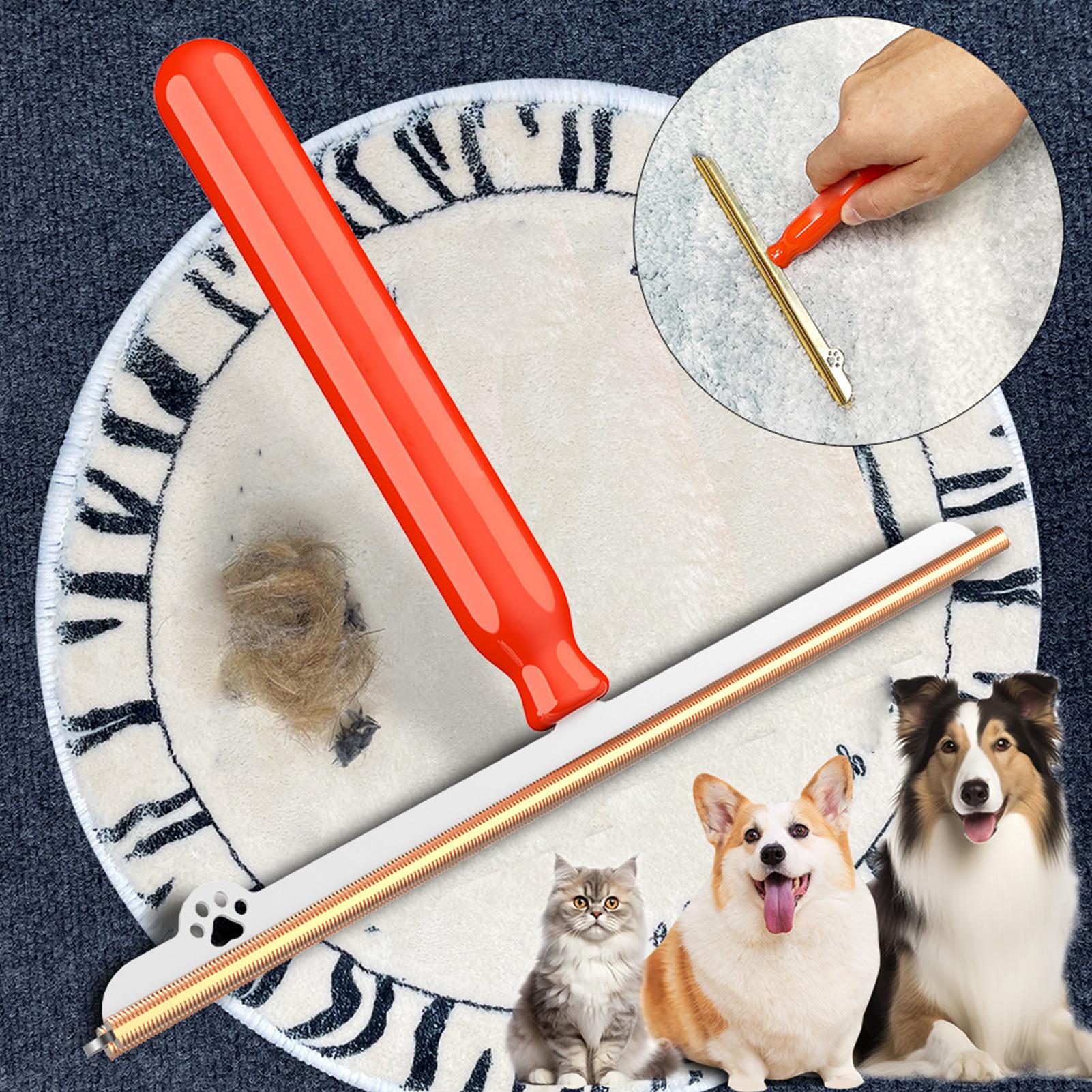 애완동물 털 제거용 카펫 레이크 1개, 손잡이가 있는  - Furniture Hardware Supplies 리뷰 및 가격